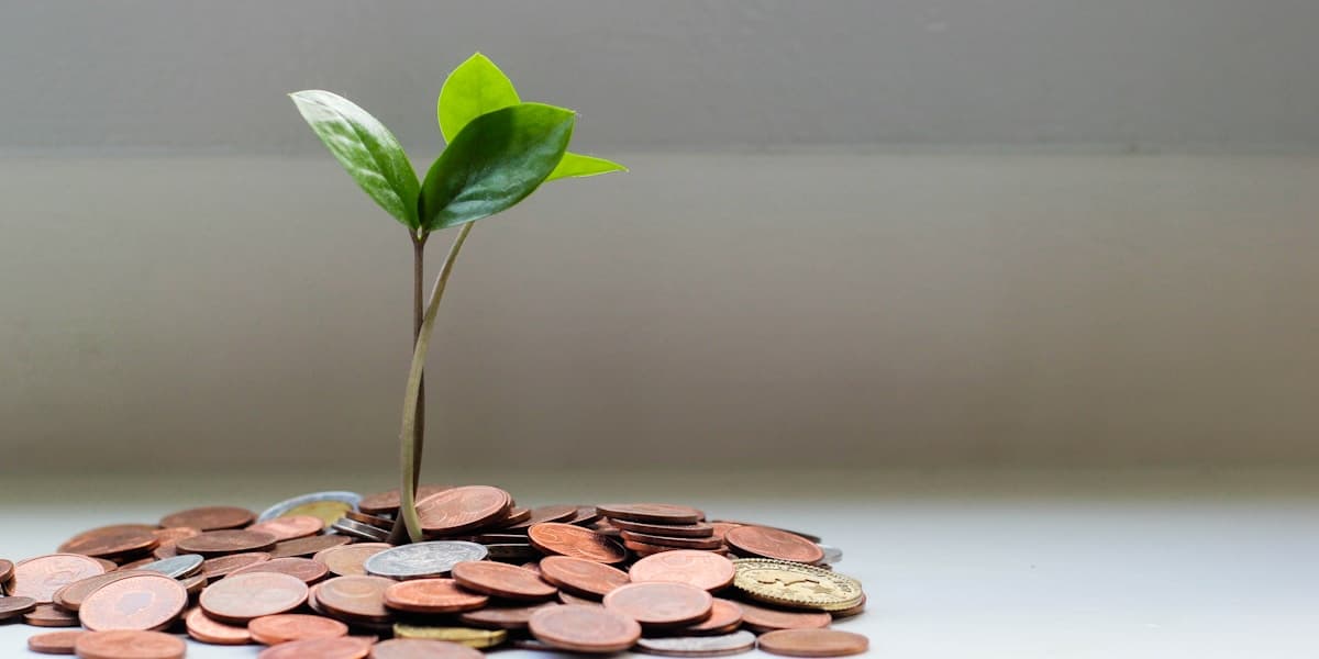 Money and calculator showing tax savings strategies