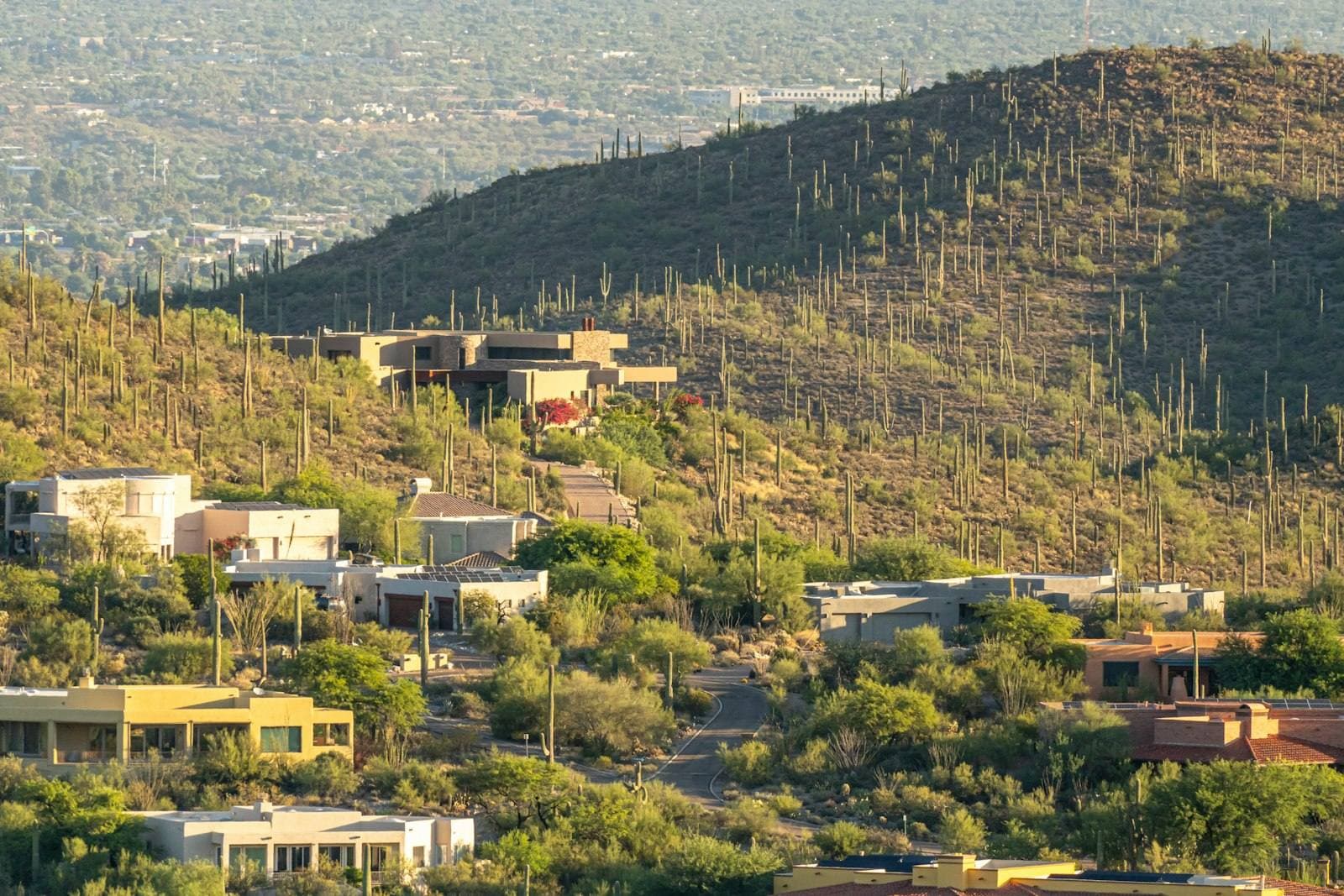 Arizona hillside homes with desert mountains behind. Mohave County appeal guide.