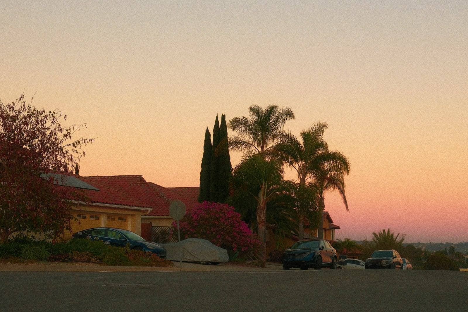 California residential street with palm trees at sunset. Los Angeles County appeal guide.