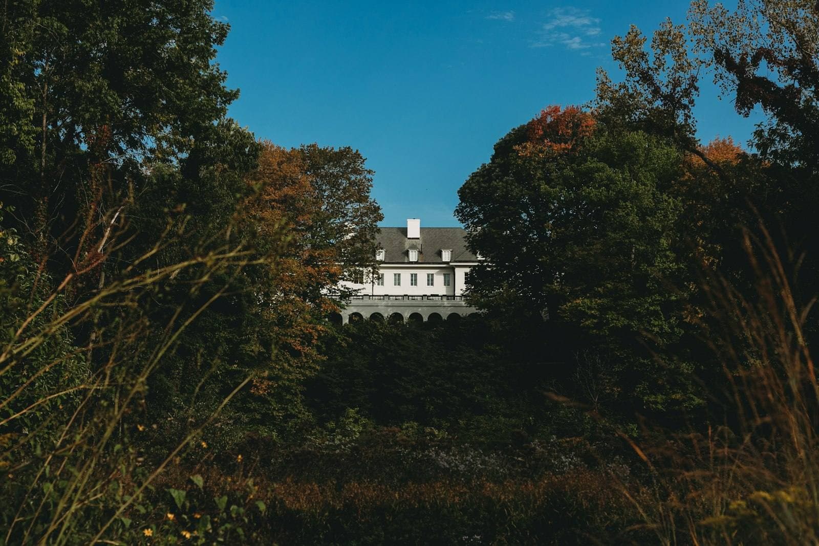 White Indiana house surrounded by trees on a sunny day. Clark County appeal guide.