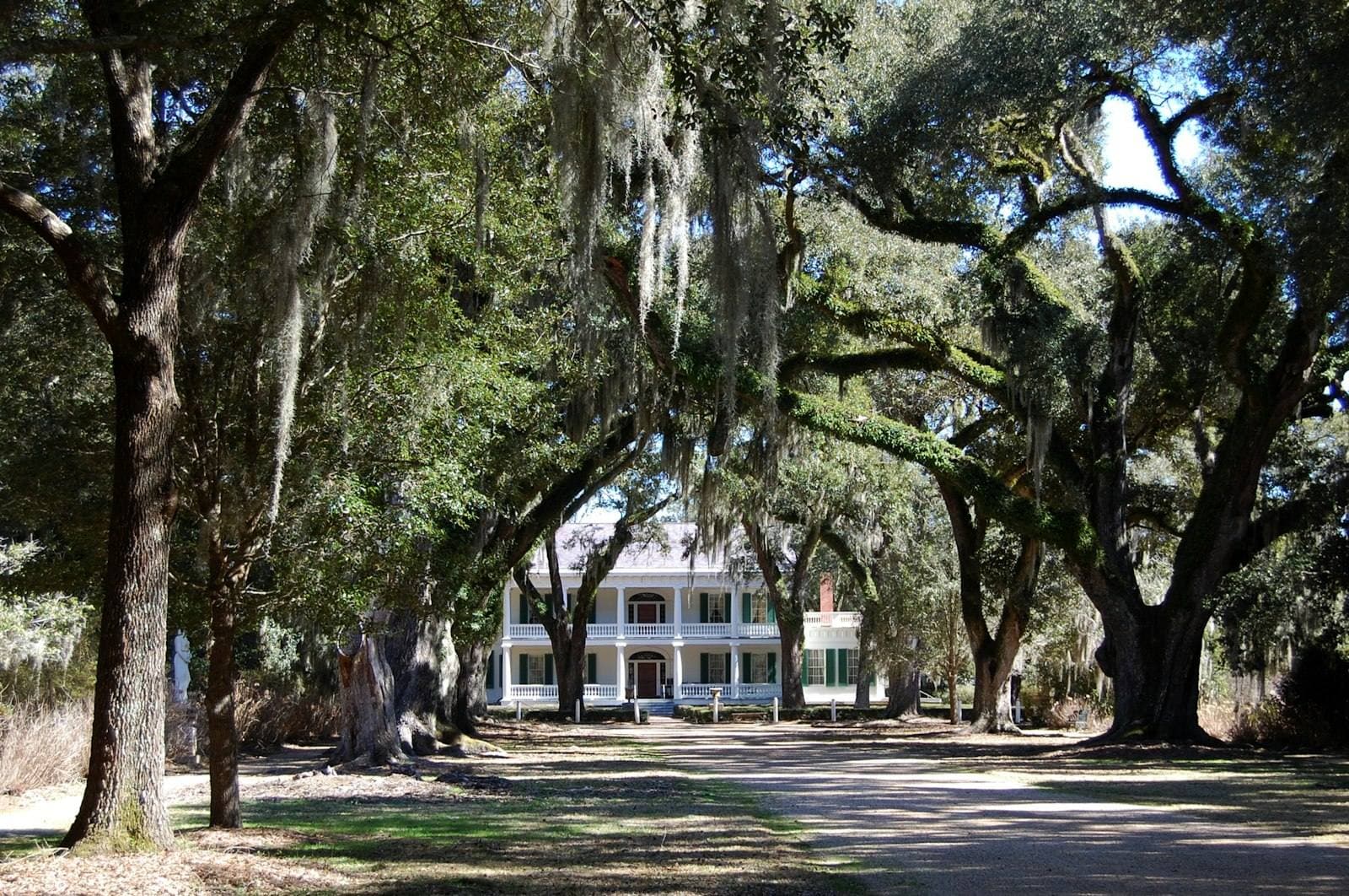 Stately white Louisiana home framed by live oaks. Understanding the Louisiana appeal process.