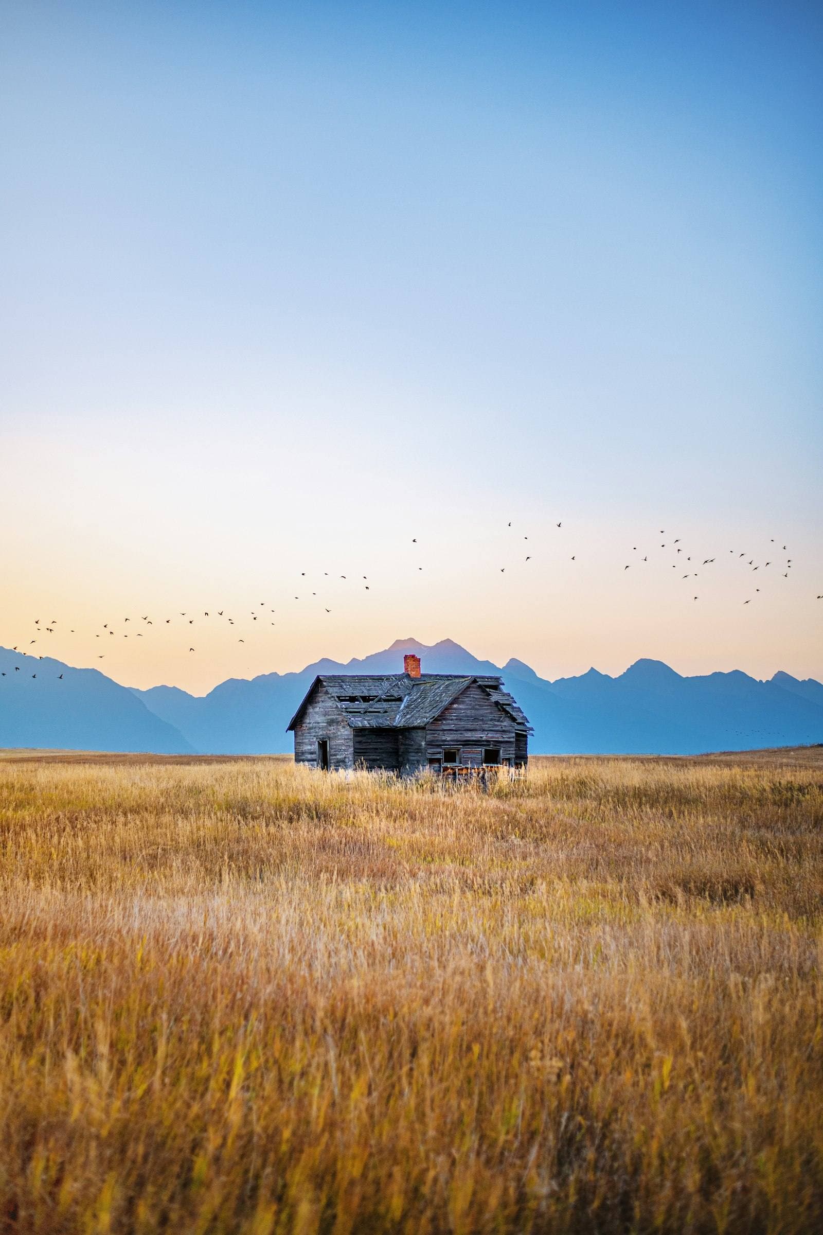 Montana ranch house on open grassland. Yellowstone County appeal guide.