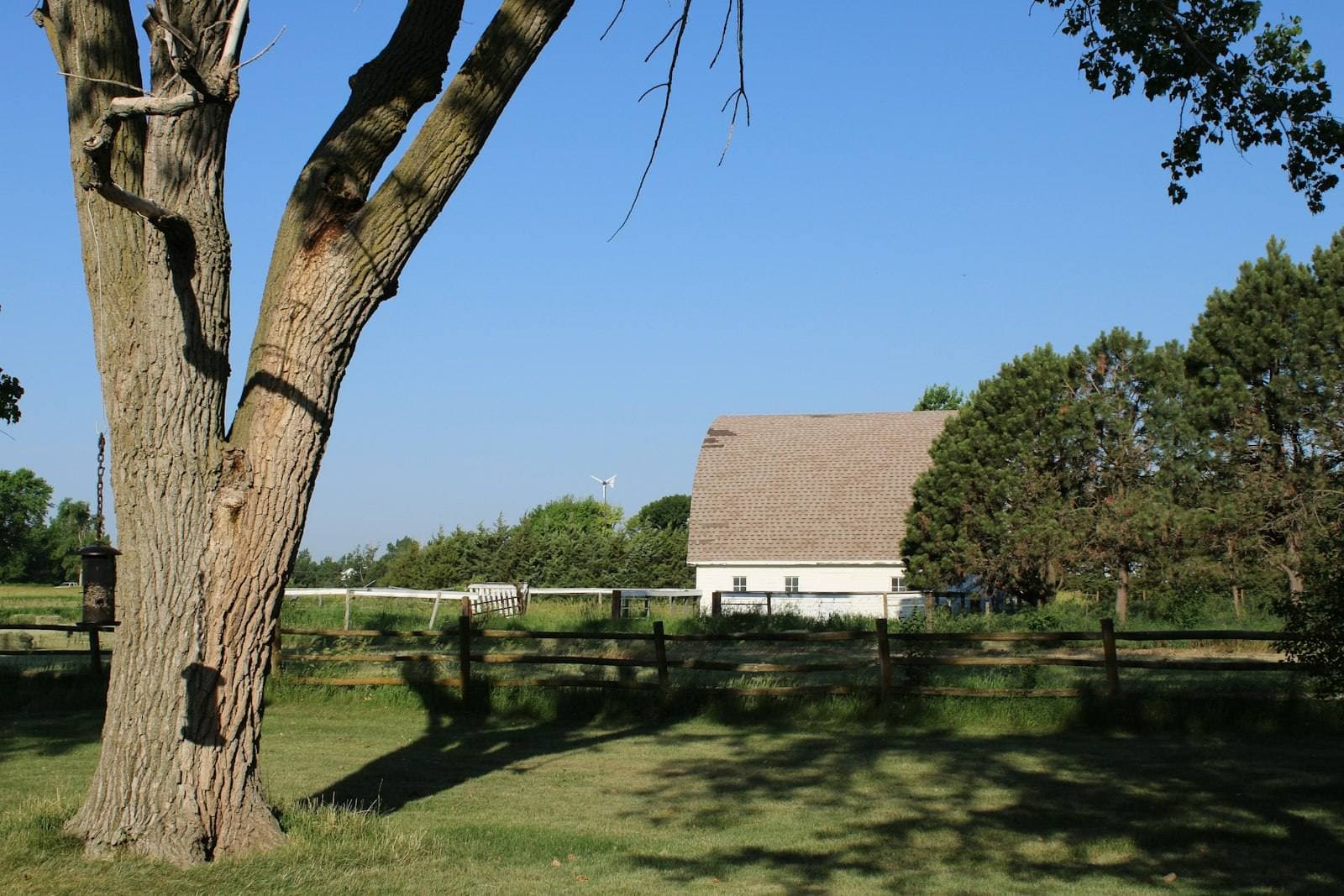 Nebraska farmstead in open prairie. Douglas County appeal guide.