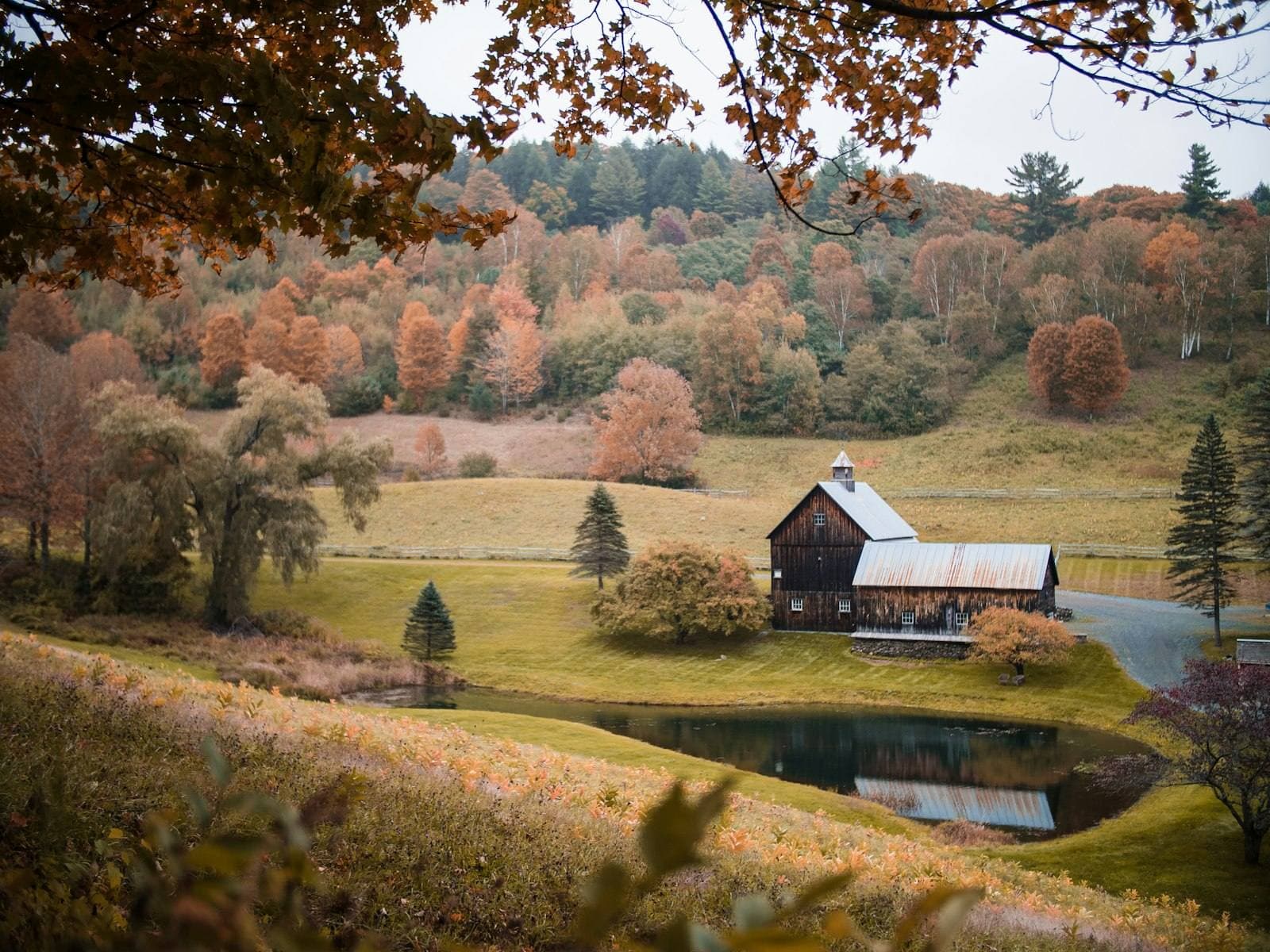 Vermont farmhouse by the river in autumn. Understanding the Vermont appeal process.
