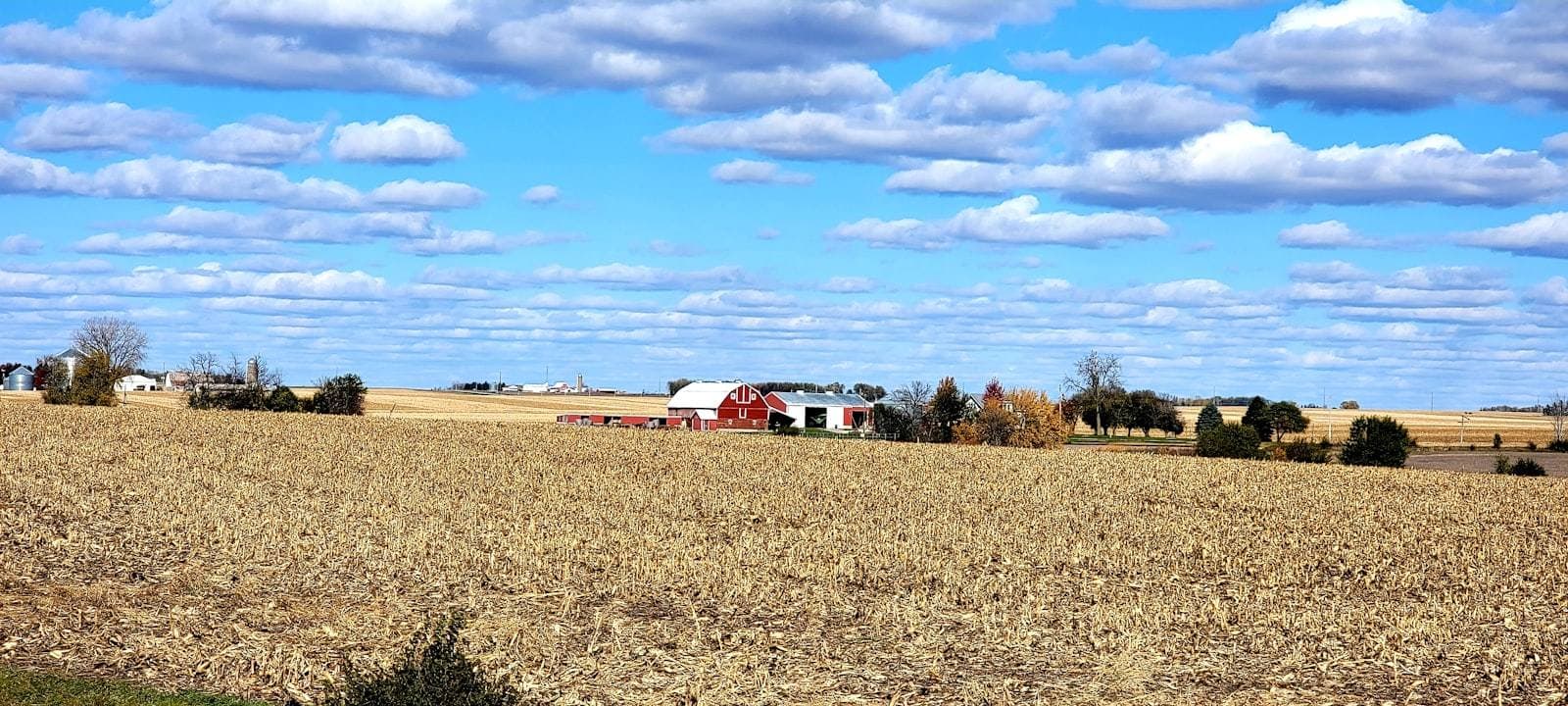 Wisconsin farm with red barn. Manitowoc County appeal guide.
